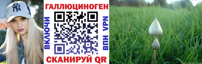 Галлюциногенные грибы Cubensis  Невельск 