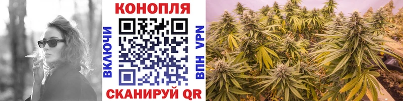 купить   Невельск  Каннабис White Widow 